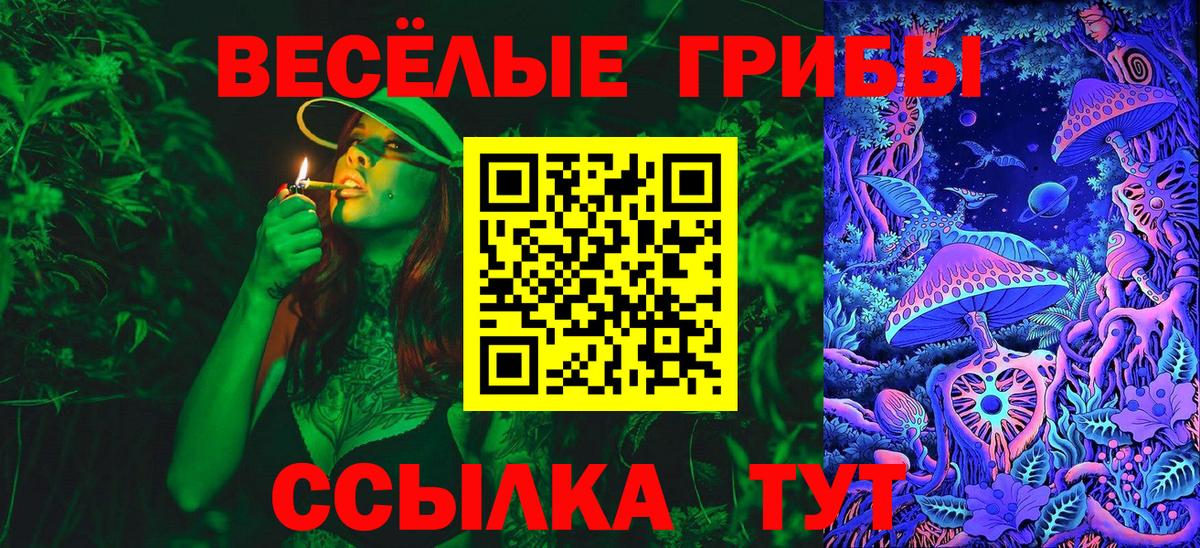 Галлюциногенные грибы Psilocybine cubensis  Вход с VPN  Курчалой  Псилоцибиновые грибы ЛСД 