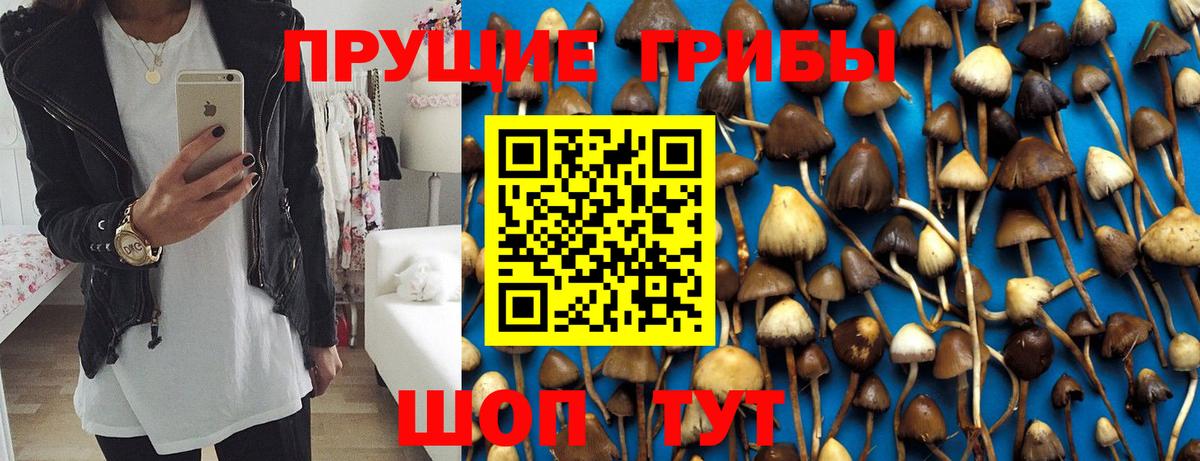 Галлюциногенные грибы мухоморы Курчалой